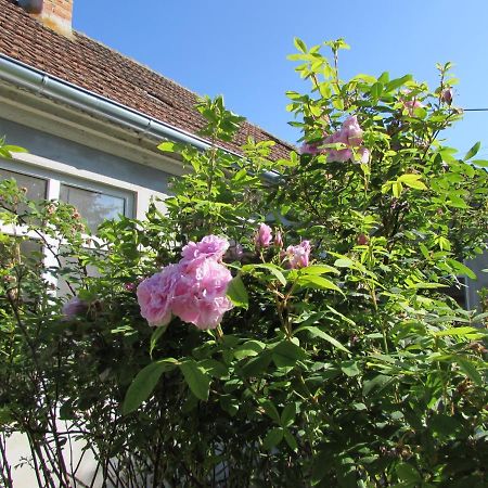 Bara Haz Villa Tvrdosovce Exterior foto